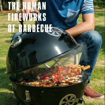 Space Module Grill Camping Bbq Grill For Outdoor Cooking